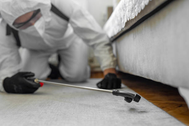 Professional Emergency Pest Control technician working in Angola on the Lake, NY